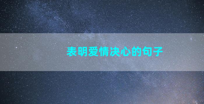 表明爱情决心的句子