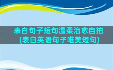 表白句子短句温柔治愈自拍(表白英语句子唯美短句)