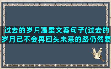 过去的岁月温柔文案句子(过去的岁月已不会再回头未来的路仍然要走)