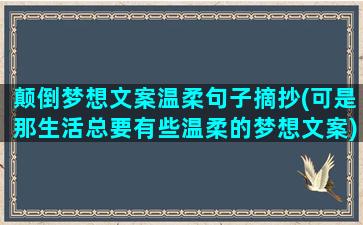 颠倒梦想文案温柔句子摘抄(可是那生活总要有些温柔的梦想文案)