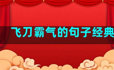 飞刀霸气的句子经典语录